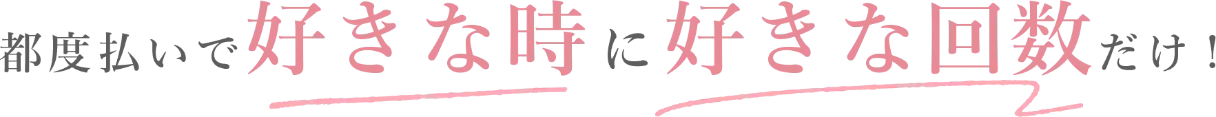 都度払いで好きな時に好きな回数だけ!