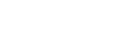 ミノキシジル5.0mg＋フィナステリド1.0mg（合剤）30日分500円（税込）