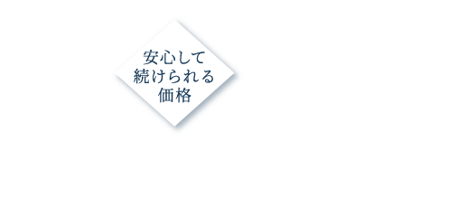 発毛と予防が30日分500円（税込）