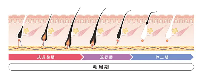 イメージ写真